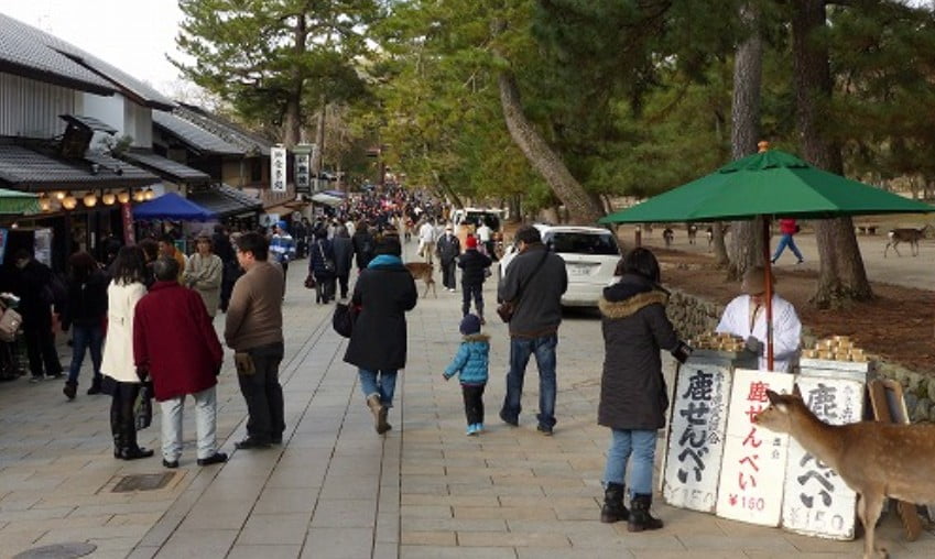 奈良東大寺・奈良公園の周辺・付近の駐車場「混雑・渋滞情報」 (2)