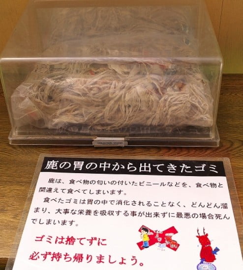 一昔前は、東大寺・奈良公園にゴミ箱が存在した？？