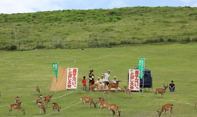 奈良公園（若草山）「鹿せんべい飛ばし大会」